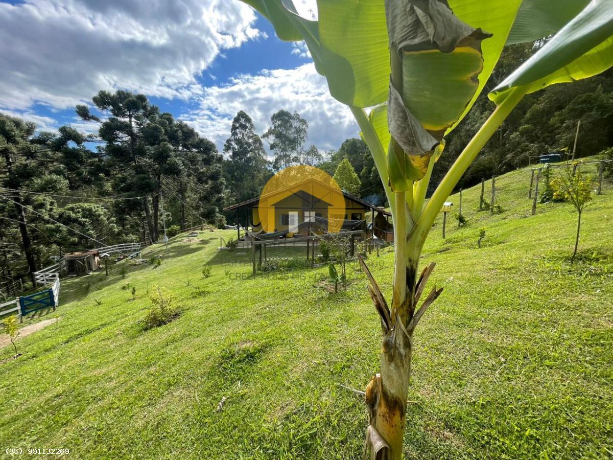 Sítio à venda com 2 quartos, 7m² - Foto 29