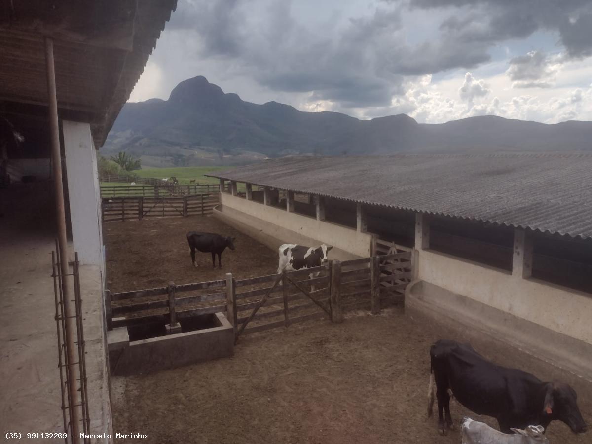 Fazenda à venda, 4500000m² - Foto 4