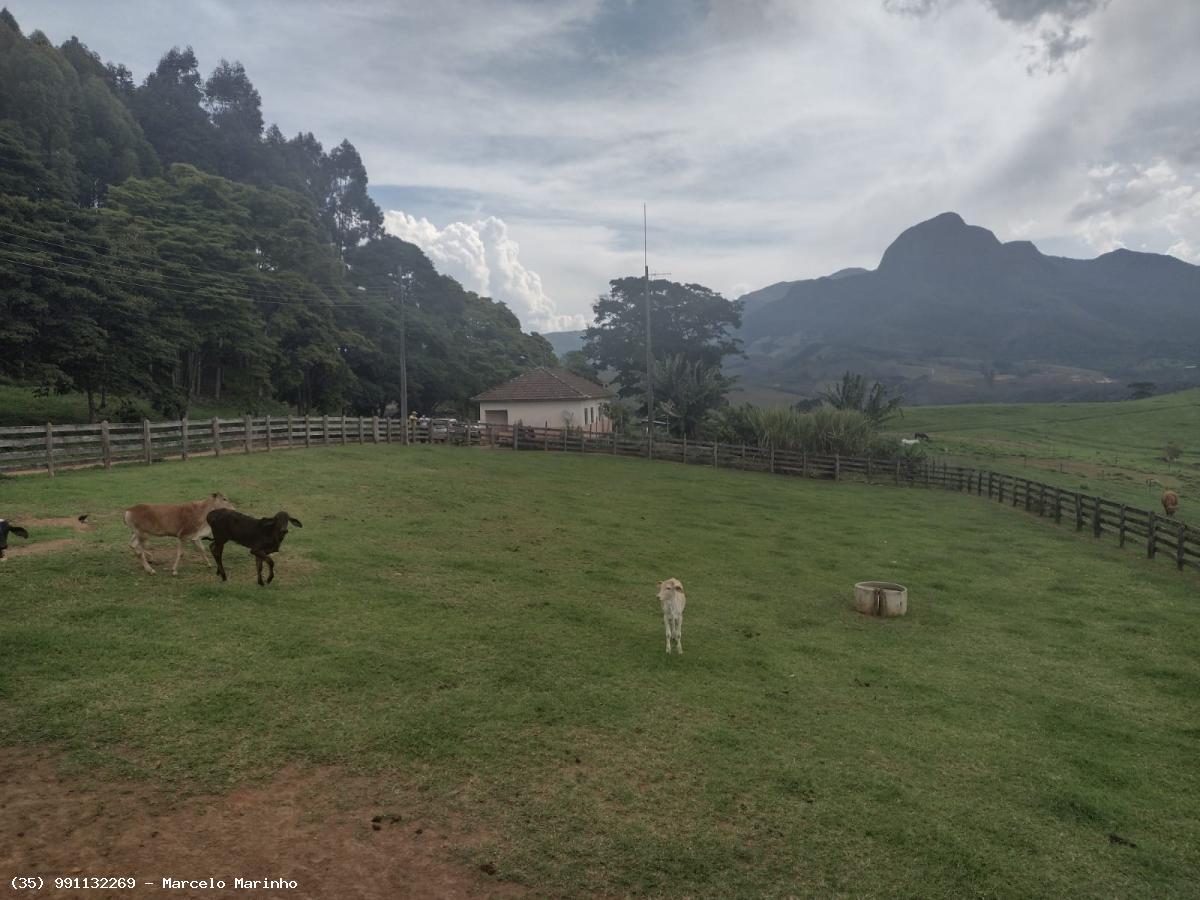 Fazenda à venda, 4500000m² - Foto 7