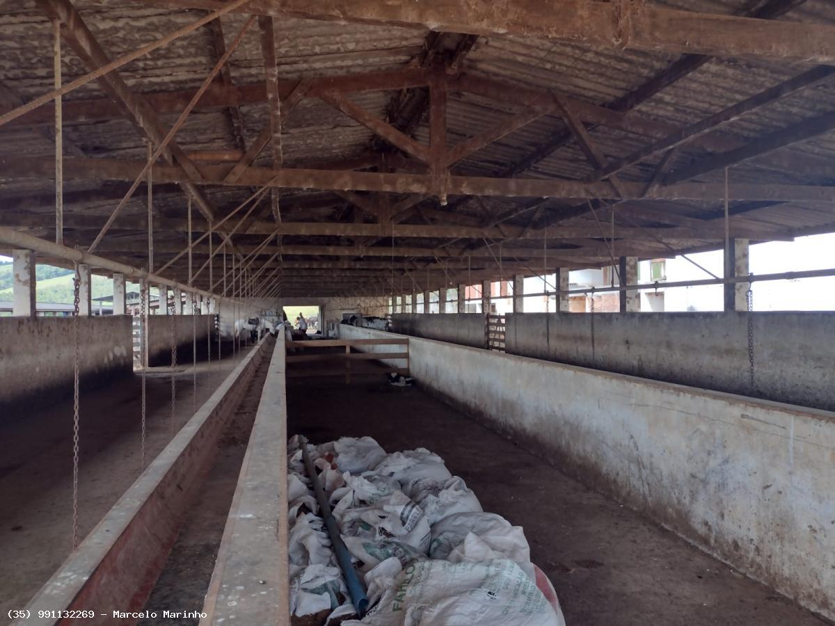 Fazenda à venda, 4500000m² - Foto 11
