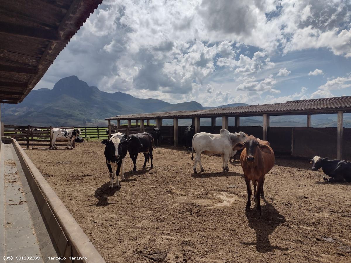 Fazenda à venda, 4500000m² - Foto 1