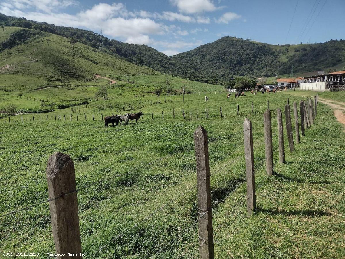 Fazenda à venda, 1500000m² - Foto 2