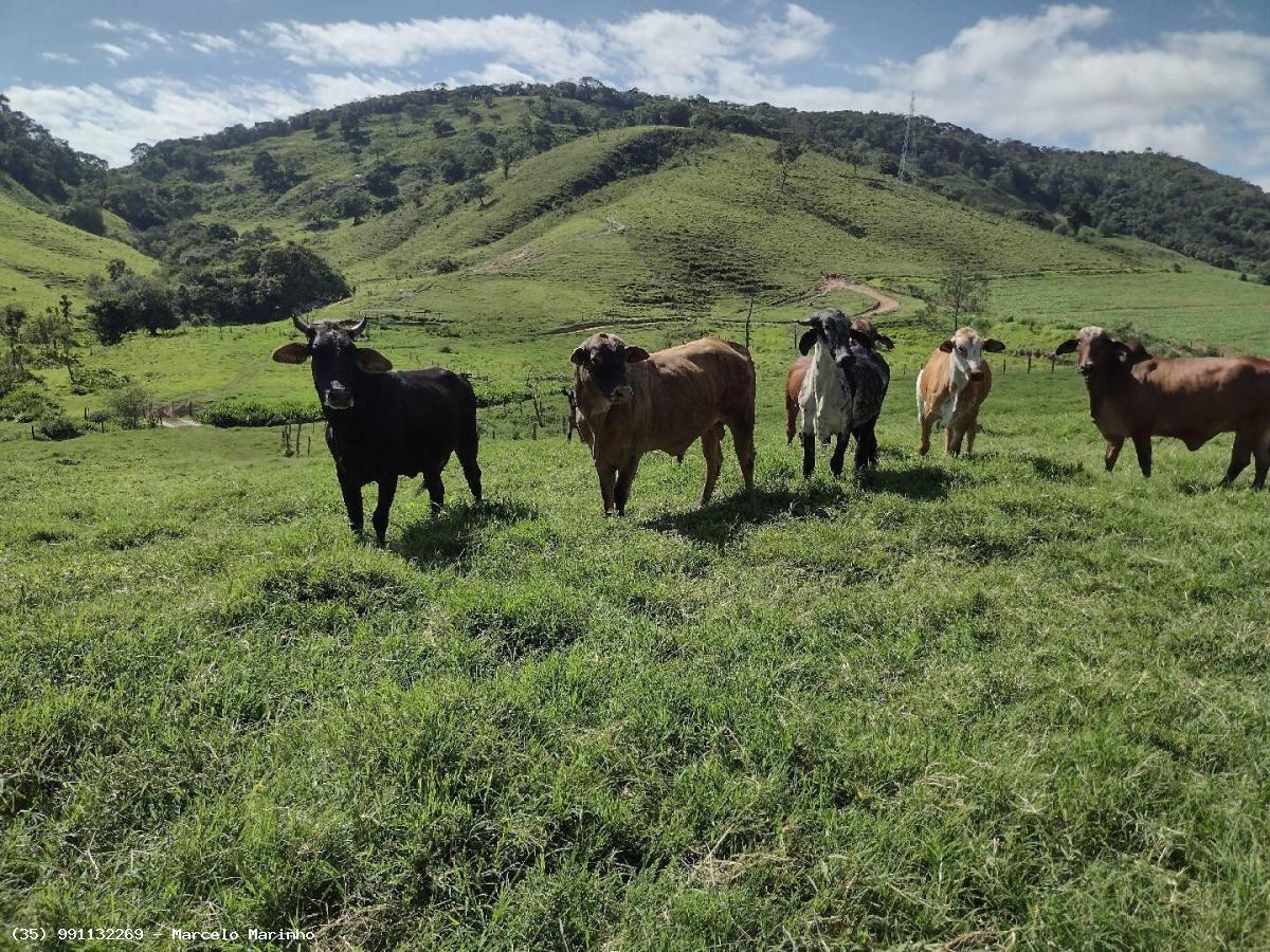 Fazenda à venda, 1500000m² - Foto 3
