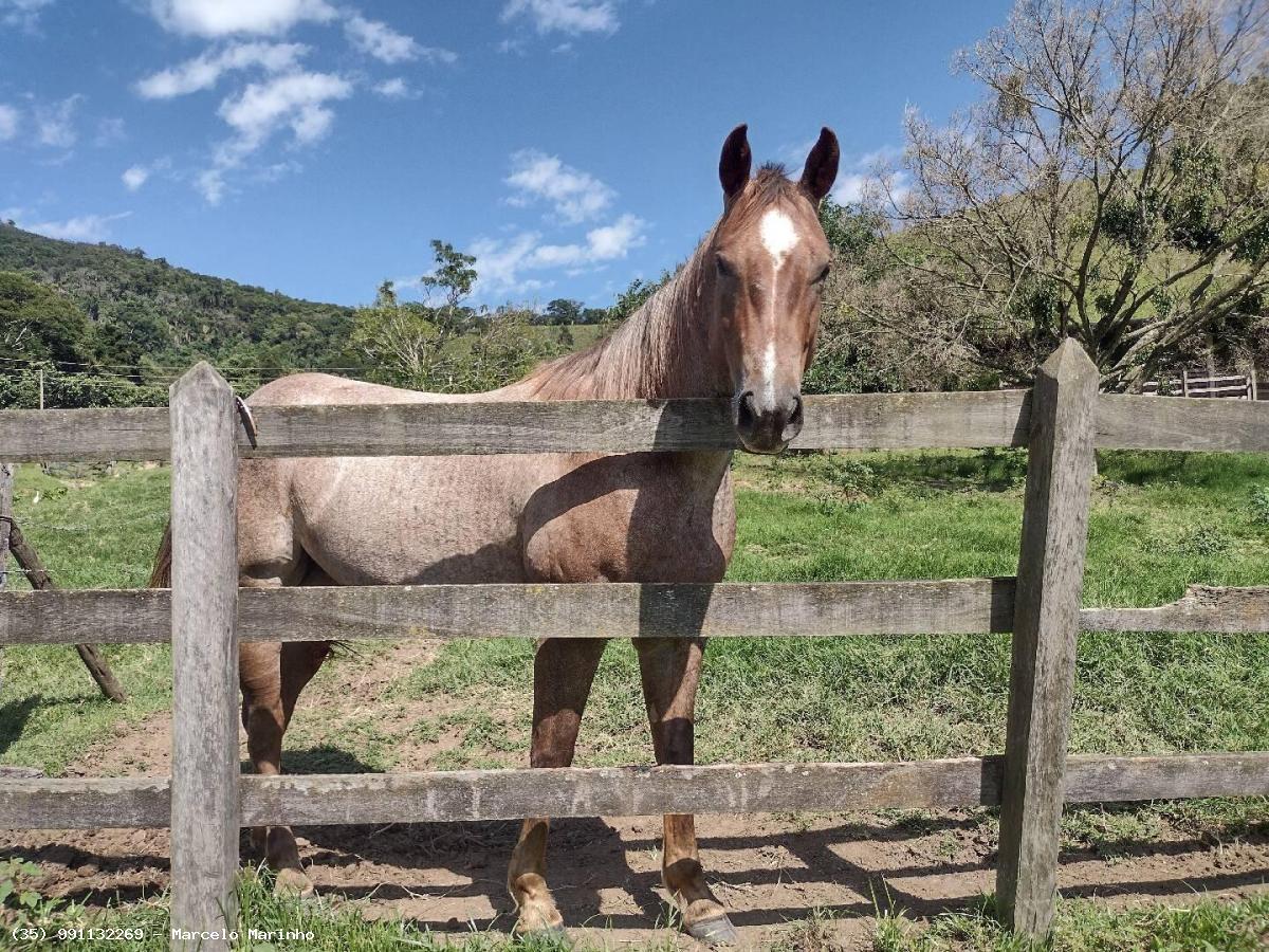 Fazenda à venda, 1500000m² - Foto 6
