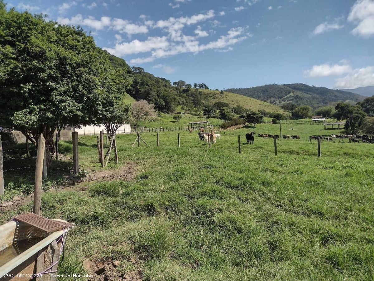Fazenda à venda, 1500000m² - Foto 10