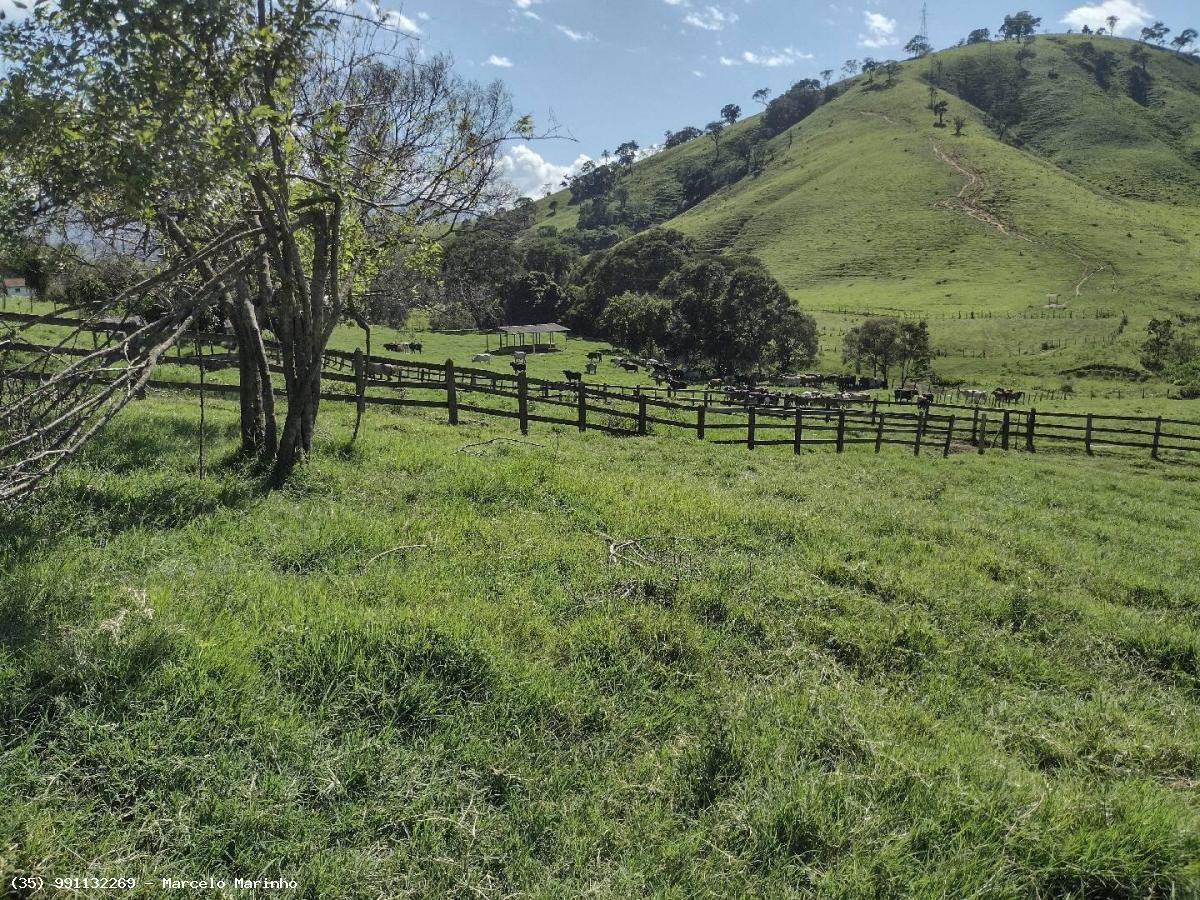 Fazenda à venda, 1500000m² - Foto 18