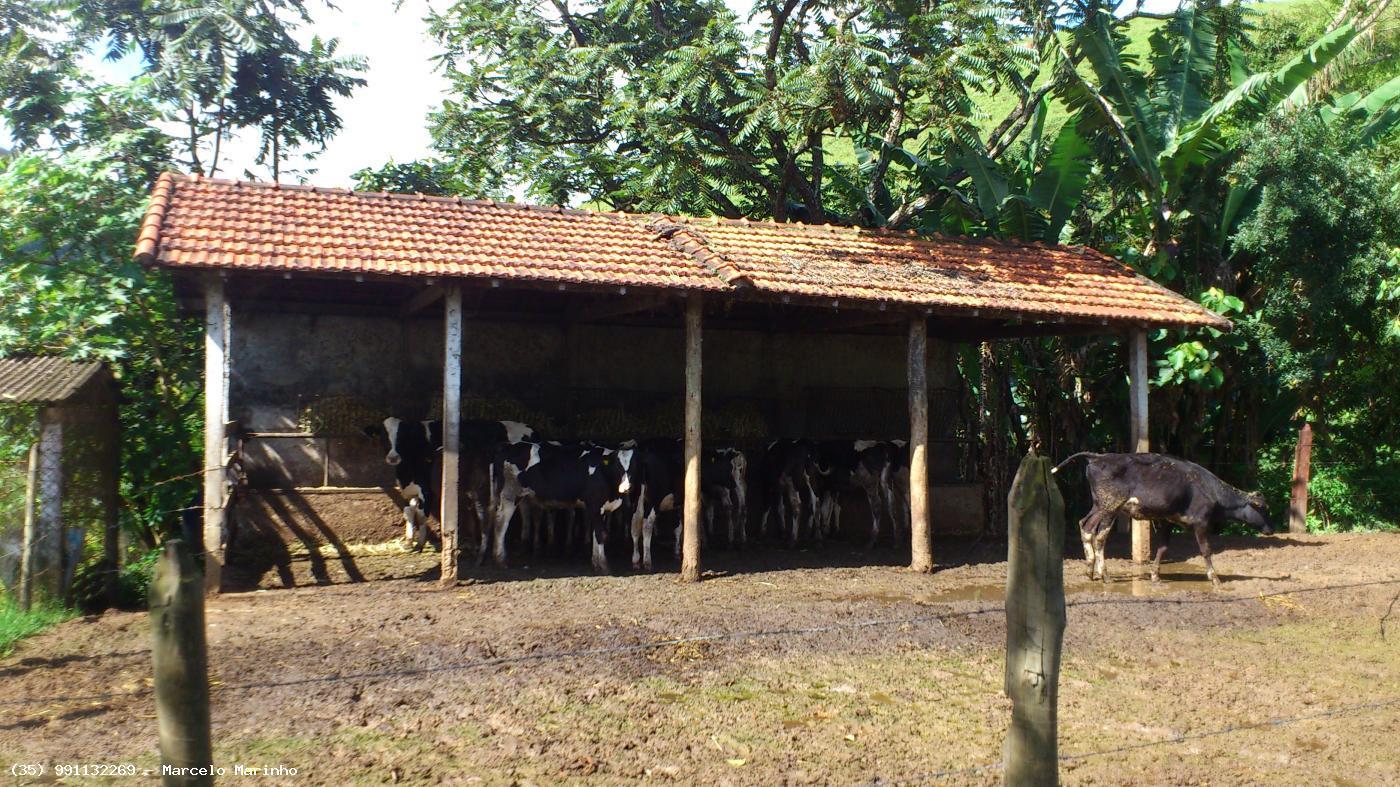 Fazenda à venda, 1500000m² - Foto 21