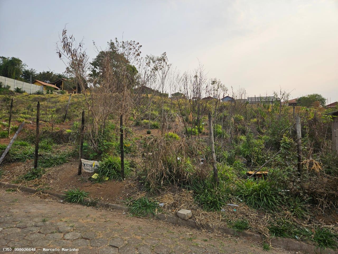 Terreno à venda, 390m² - Foto 2